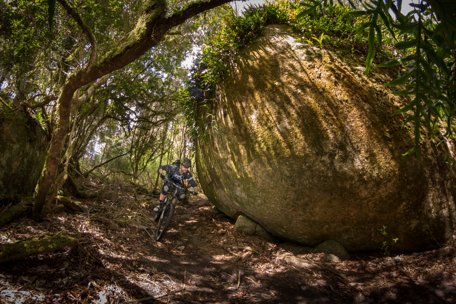 Trip: Blue Derby Tasmania